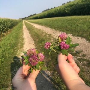 Meet your Posher, Kam